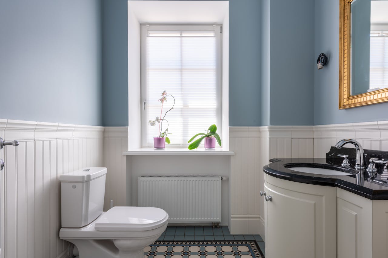 Stylish contemporary bathroom featuring blue walls, black countertop, and orchid plant.